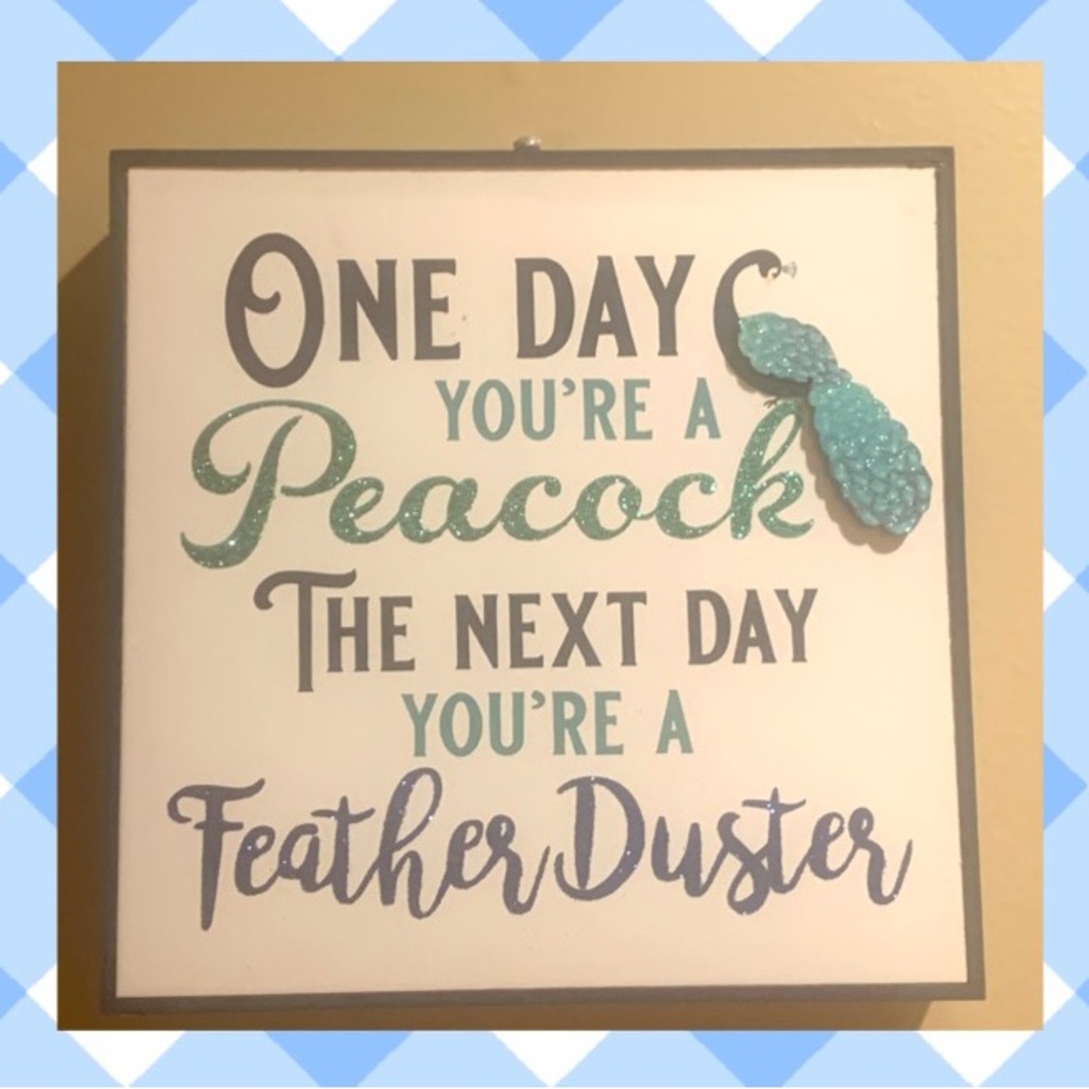 One day you’re a peacock the next day you’re a feather duster decor sign🦚